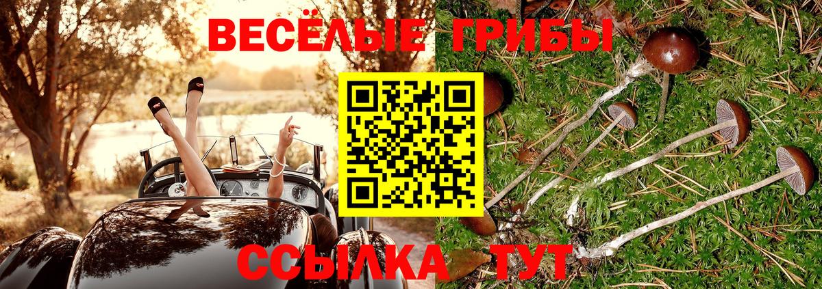 Сунжа  купить наркотики цена  Вход с VPN  Псилоцибиновые грибы мухоморы 
