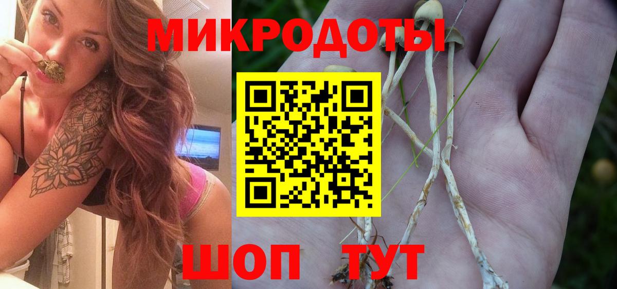 Галлюциногенные грибы MAGIC MUSHROOMS Сунжа